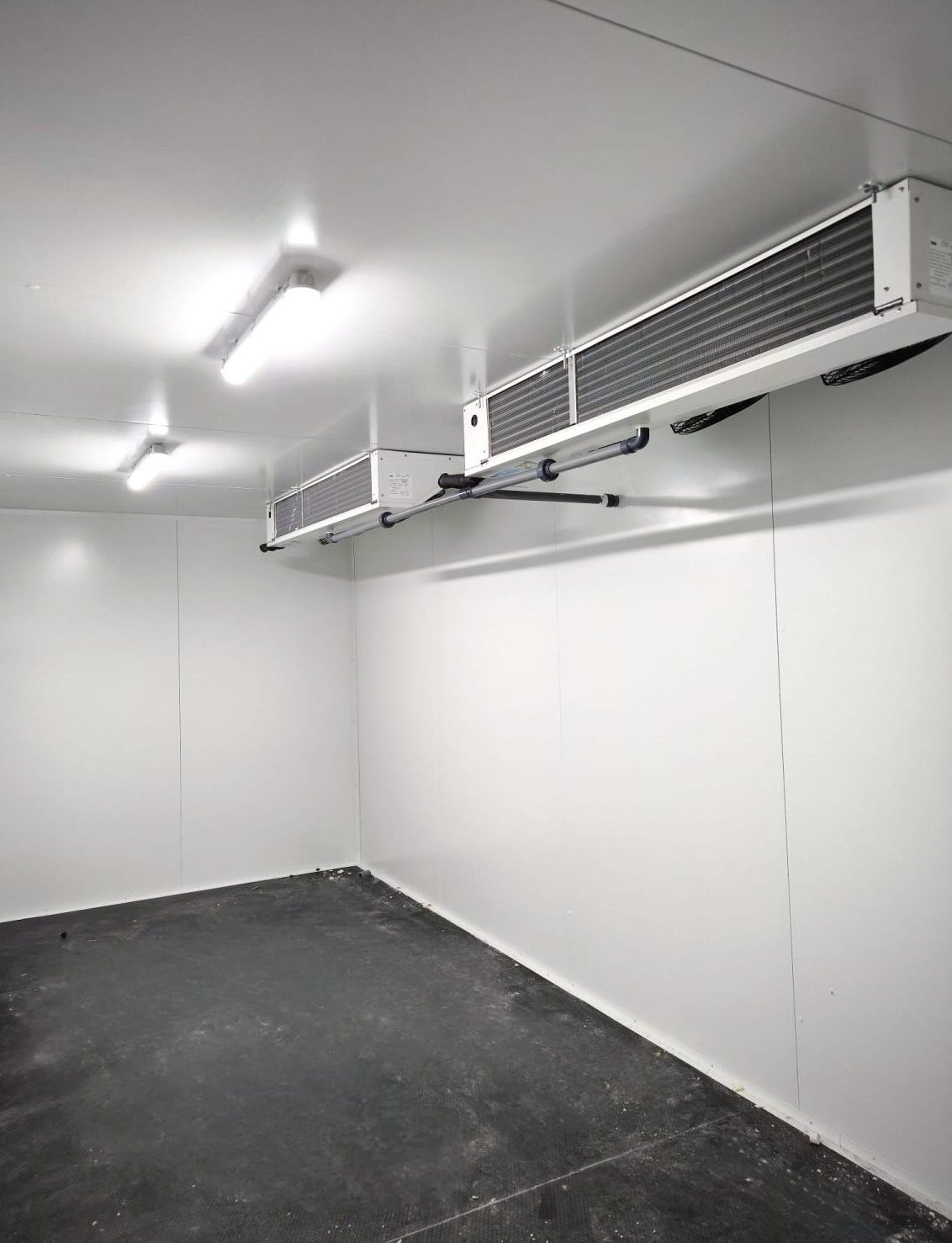 Cámaras frigoríficas y congelación